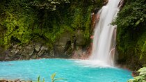 Rain forest Adventure to Rio Celeste Waterfall & Sloth Sanctuary