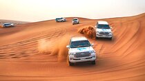 Desert Safari - 4x4 Adventure (Duning & Beach)