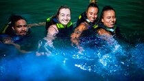 Full-Day Tour Baru - National Aviary and Playa Blanca + Bioluminescent Plankton