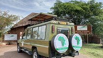 Full-Day Private Safari of Akagera National Park with Lunch
