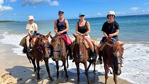 Horseback Riding at the Beach in Punta Cana