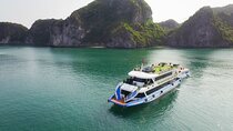  Luxury 1 Day Halong Bay 8 hours 5*Cruise Limousine Kayak Relax
