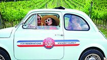 500 Vintage Tour: Chianti Roads Experience from Florence