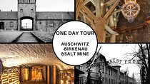 Krakow: Auschwitz-Birkenau and Salt Mine Guided Visits in One Day