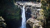 Ubud Waterfalls Private Tours with Hotel Pickup