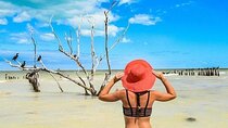 Incredible Holbox Island Tour Punta Mosquito only from Tulum