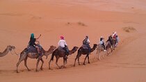 Private 5 Days Trip from Fez to Marrakech via Merzouga Desert 
