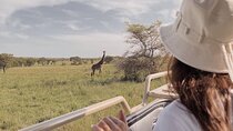 4 Days Masai Mara and Lake Nakuru Mid-Luxury safari