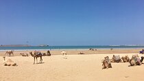 Supratours Marrakech to Essaouira Moroccan Bus Tickets