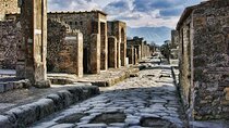 Pompeii SkipTheLine Fullday with Lunch Wine Tasting from Rome
