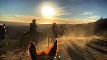 Mt. Hollywood Trail Tour on Horseback