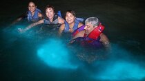 Luminous Lagoon Night Tour from Montego Bay