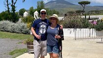 Private Full Day Tour Ruins of Pompei and Wine Tasting Experience