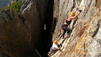 From Estepona: Guided Via Ferrata Adventure in Benalauría