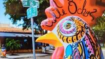 Little Havana Walking Tour + 1 Hour Everglades Airboat Ride