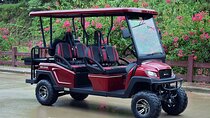 Multi Day 6 Passenger LSV Golf Cart Rental