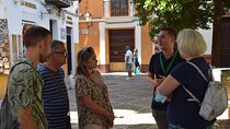 Essential Seville Walking Tour (Private Tour)