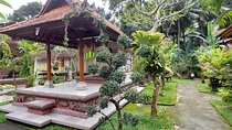 Full-Day Bali Rural Life and Trekking in Village Private Experience