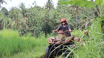 Full-Day Private Quad Bike ATV Adventure and Ubud City Tour