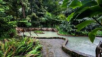 Private Guided Tour to Furnas and thermal baths.