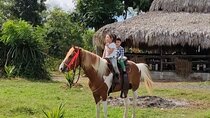Horseback Riding tour near Santo Domingo with pick up and dropoff
