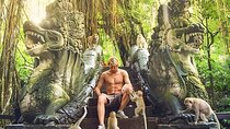 Ubud Tour With Sacred Monkey Forest Sanctuary - Waterfall - Rice Terrace
