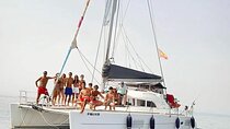 Marbella 3-hour Catamaran Group Excursion with Dolphin Watching