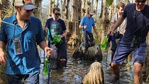Everglades Tour w/ Biologist Led WET walk + 2 Boat Trips + Lunch!
