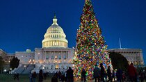 Washington, DC Holiday Lights Private Night Bus Tour-Private