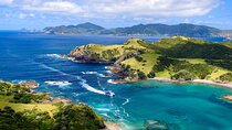 Bay of Islands Discovery Experience from Auckland incl. Hole In The Rock Cruise