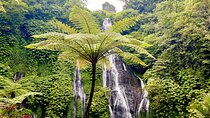 Banyumala Waterfalls with Tanah Lot Sunset Tour