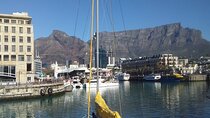 2 Day: Table Mountain, Robben Island, Cape of Good Hope & Penguin