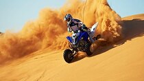 Qatar ATV and Quad Bike Experience With sand boarding 