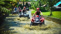Bali Quad Bike Adventure