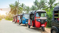 Full Day Tuk Tuk Rental in Sri Lanka