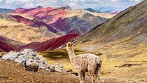 Full-Day Guided Tour to Palccoyo Rainbow Mountain