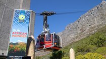 Table Mountain, Boulder's Penguins & Cape Point Private Tour from Cape Town
