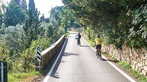 Active Full Day Tuscan Bike Tour With Wine Tasting and Lunch