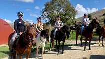 Private Tour - Horse Riding, Wine Tasting and Art Trail 