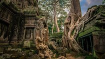 Angkor Wat Full-Day Sunrise & Sunset Private Tour All Interesting Major Temples