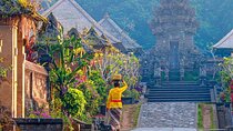 Full-Day Private Bali Back To The Village Tour with Hotel Pick Up