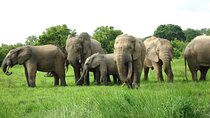 15-Day Ghana Wildlife Private Tour