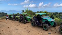 4WD Buggy. Mountain Tour 3 hrs. for 1-2 people per Buggy in Samui