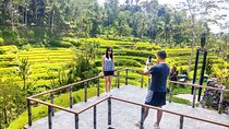 Ubud Tours - The Best & New of Ubud - include tickets