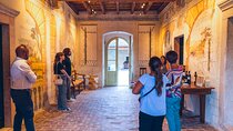 Guided Tour in a Venetian Villa with Valpolicella Wine Tasting