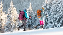 Half-Day Snowshoe Trip from Prague
