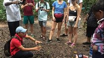 Vietnam: Cu Chi Tunnels Half Day Tour