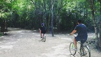 Mayan Jungle Adventure (Private, Full Day)