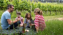 Mornington Peninsula Gourmet Full-Day Private Tour 