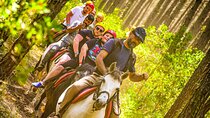 Horse Riding in Marmaris National Park
